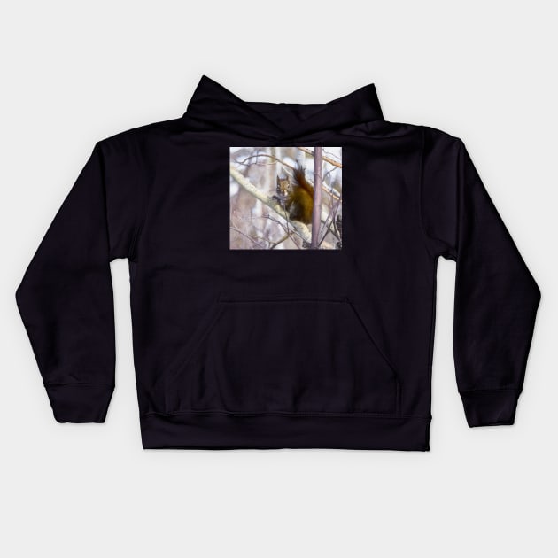 Red squirrel. "You looking at me." Kids Hoodie by CanadianWild418